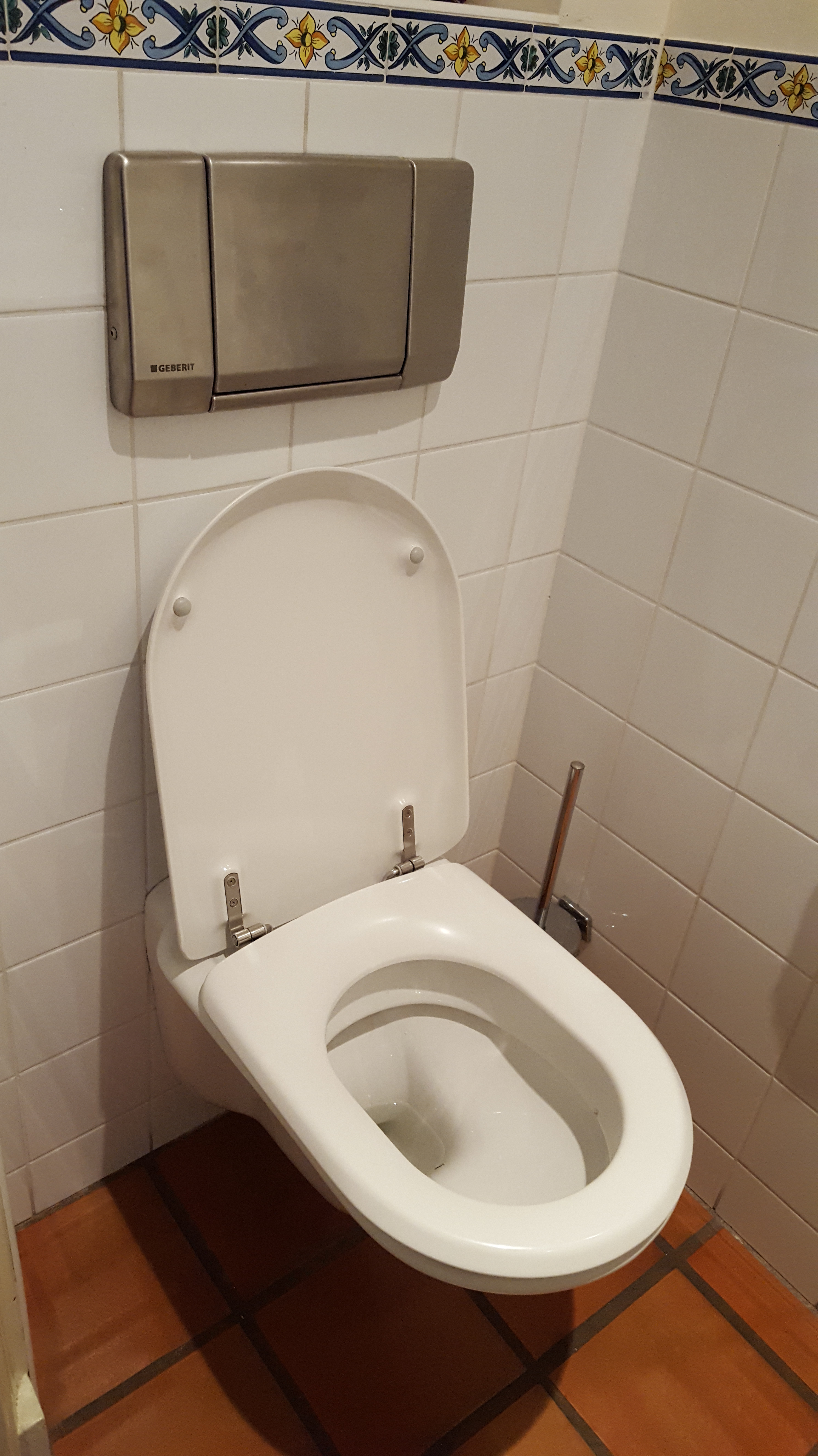 Dutch toilet with a regular water basin and a giant flush button