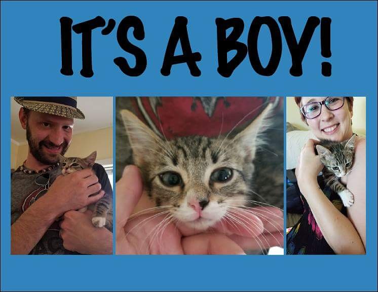 IMG_20170723_202726_917