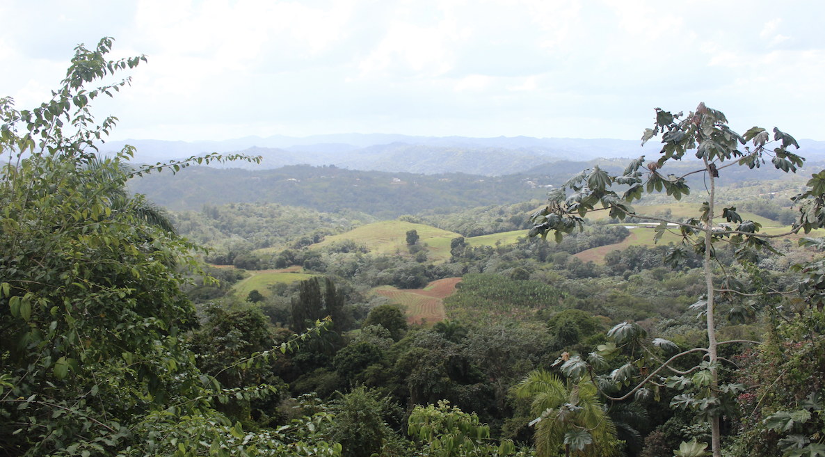 free things to do in Puerto Rico: enjoy the view