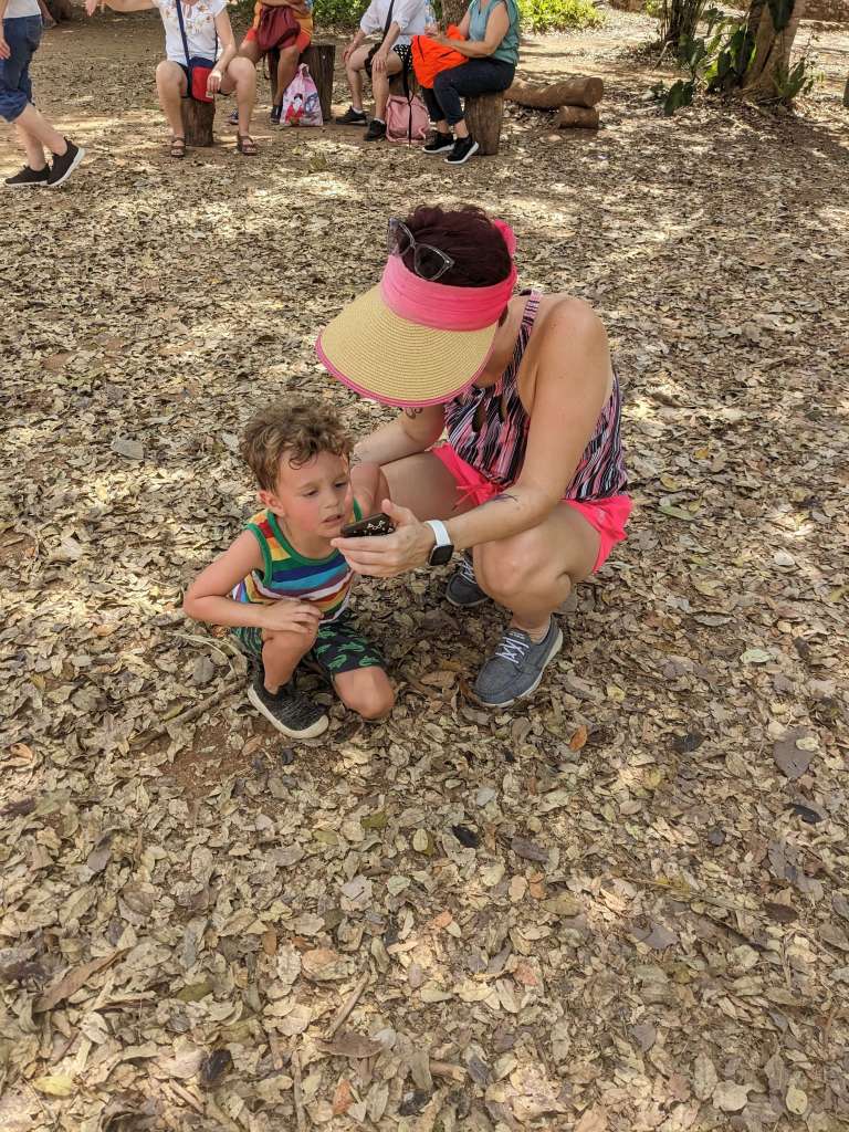Travel with kids: mother shows young son a map on her phone