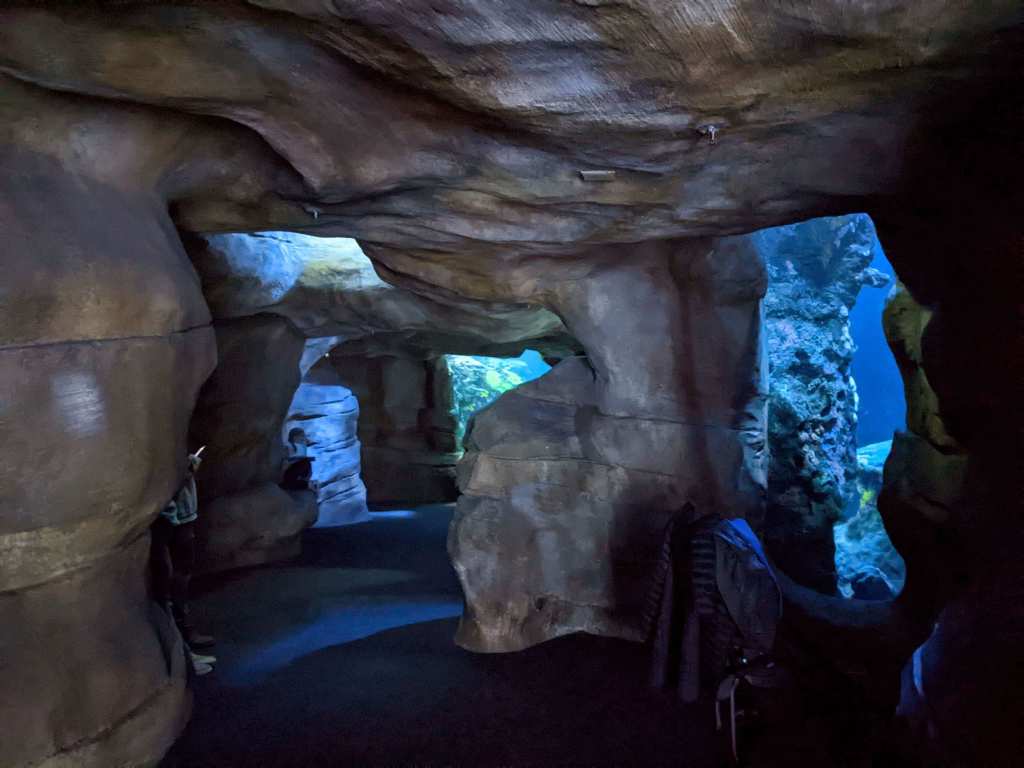 The Tennessee Aquarium is great for families