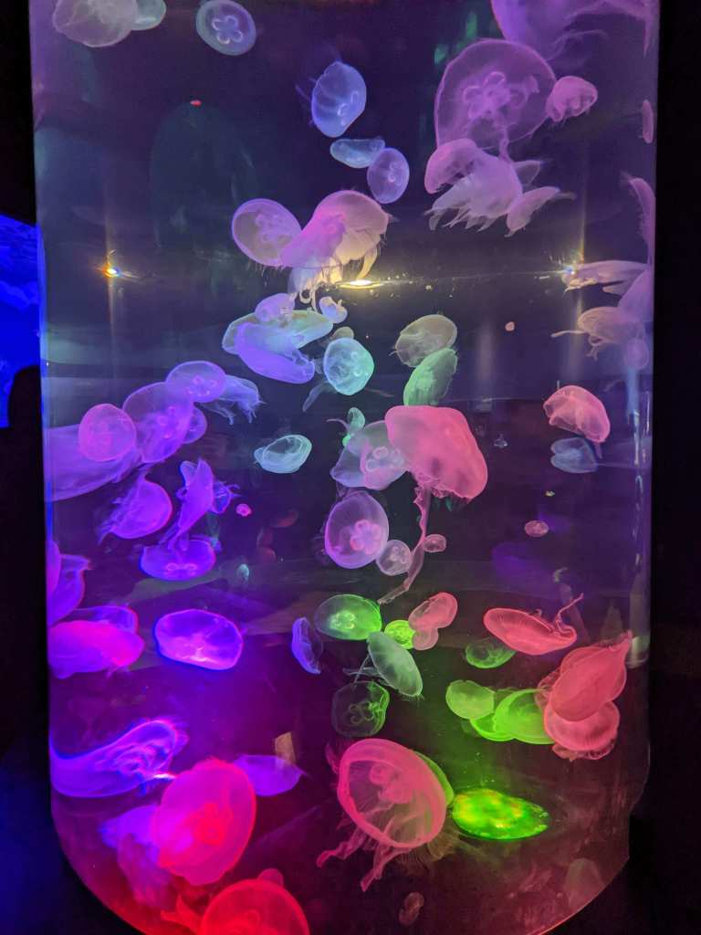 The Tennessee Aquarium is great for families