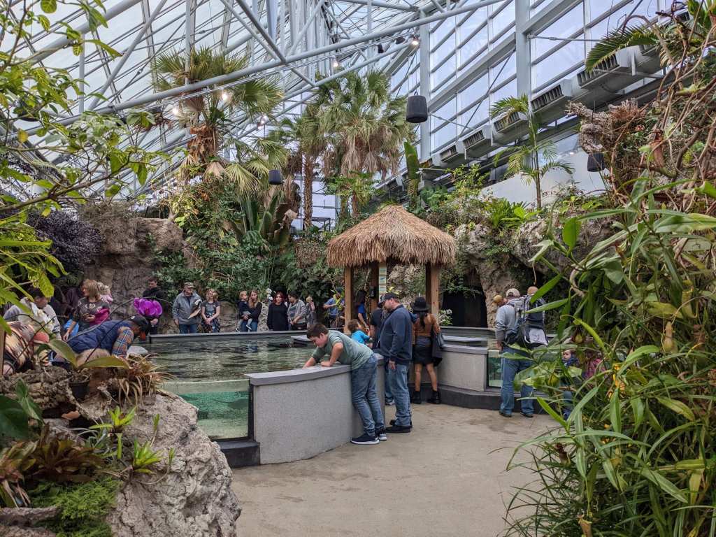 The Tennessee Aquarium is great for families