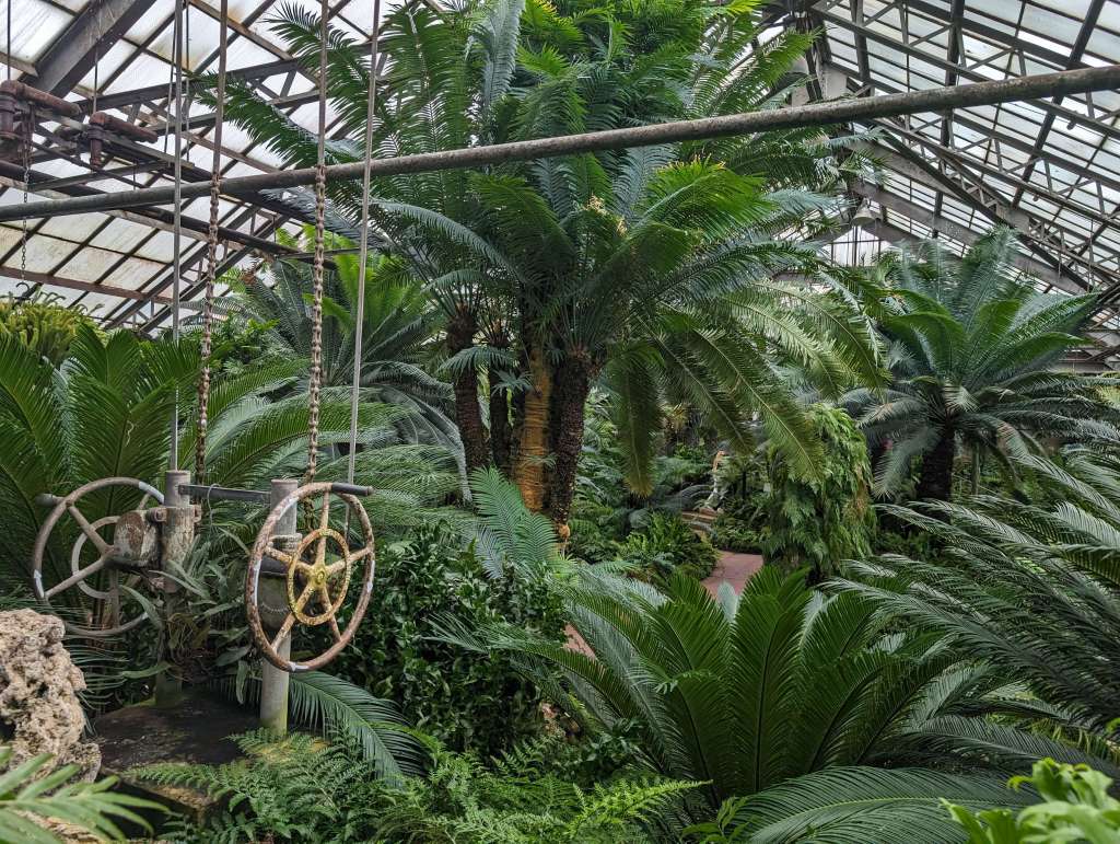 the Conservatory at Lincoln Park