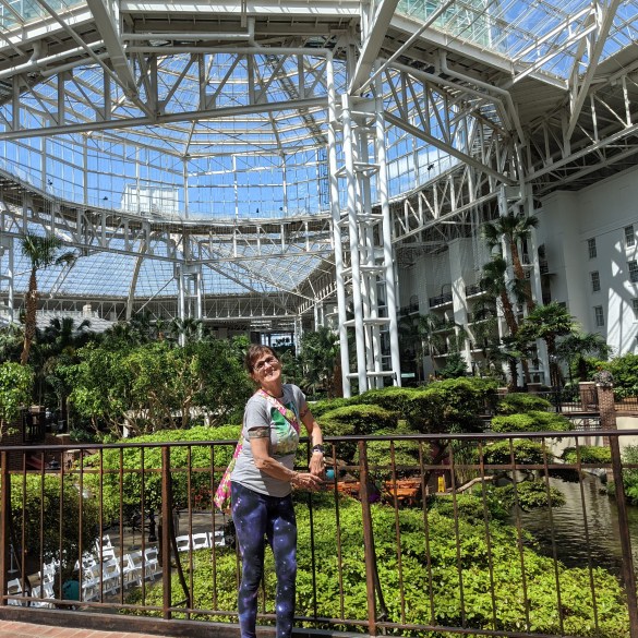 Inside the beautiful conservatory