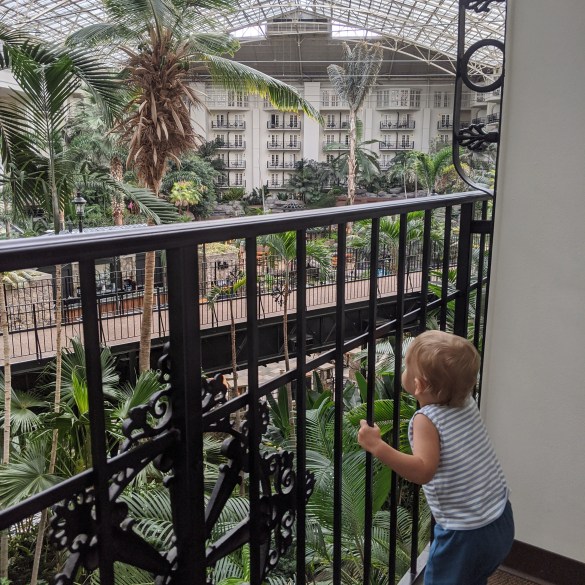 Interior room view at the Gaylord Opryland Hotel